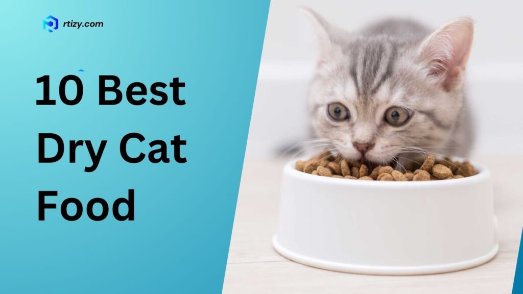 Best Dry Cat Food for Your Feline Friends